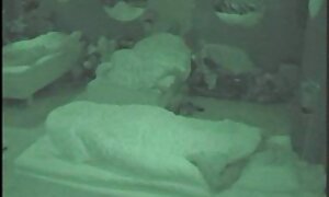 伸ばしての商品につ成熟したbitchのようにバイブレーター内 jk えろ どう が