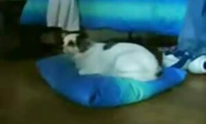 成熟した妻の商品は熱心に彼女の夫の前に熱いセックスを舐めています じょし えろ