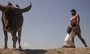 成熟した堕落した女性の口と顔の中で兼の堕落したコンパイル 女子 高生 の えろ